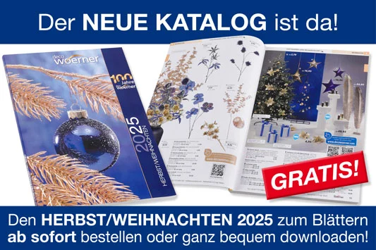 Katalog-picture