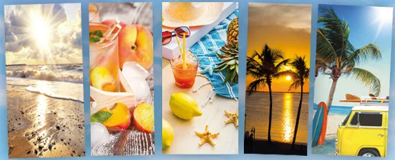 Sommer-Banner-picture