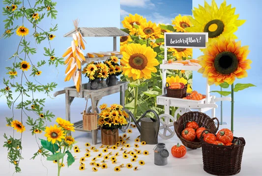Herbstdeko-picture