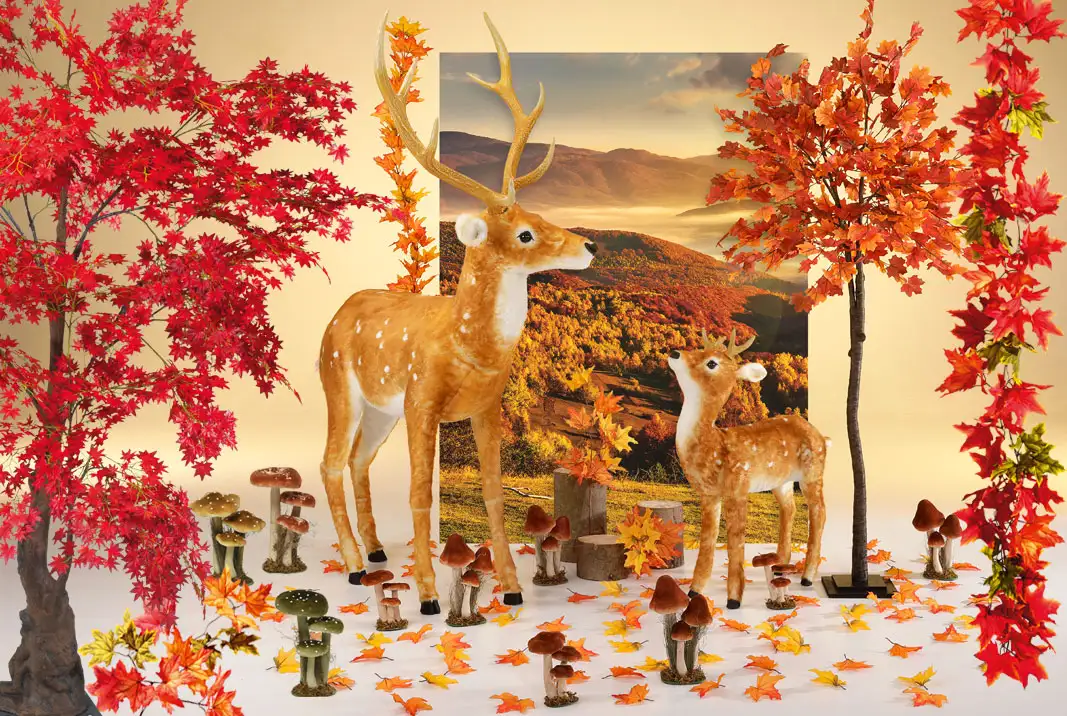 Herbstdeko-picture