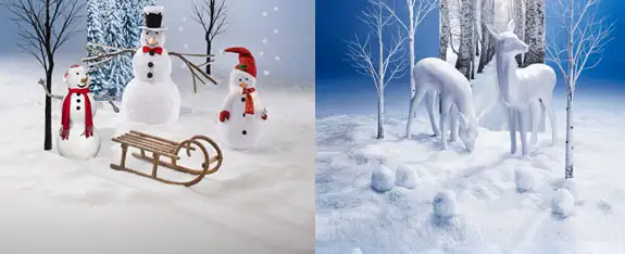 Winterdeko-picture