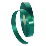 Polyamide ribbon, width 19 mm, green - 0