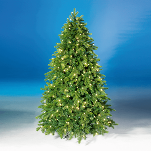 Árbol de Navidad Artificial Nordmann Abeto con LED 300 cm