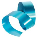 Poly ribbon, width 50 mm, light blue - 0