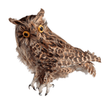 Decorative owl sitting, brown, height 31 cm - 0