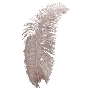 Ostrich feather powder-coloured