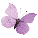 Papillon déco mauve, 30 cm - 0