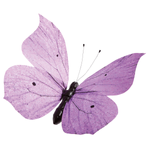 Papillon déco mauve, 50 cm - 0