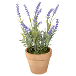 Lavanda decorativa con maceta, 23 cm - 0