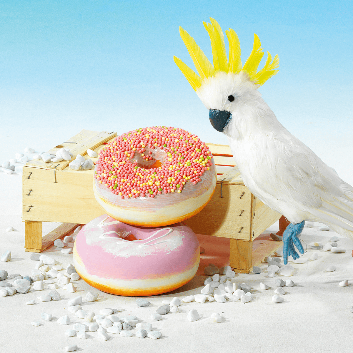 Deko-Donut mit Zuckerperlen 20 cm Ø bunt - 6 Deko-Donut mit Zuckerperlen 20 cm Ø bunt - 6