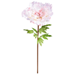 Giant peony rose 128 cm - 1