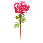 Pivoine géante 128 cm - 0