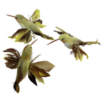 Decorative hummingbirds 18 cm green, 3 pcs - 0