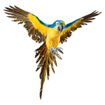 Decorative parrot blue/yellow length 77 cm - 0