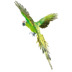 Decorative parrot green length 77 cm - 1