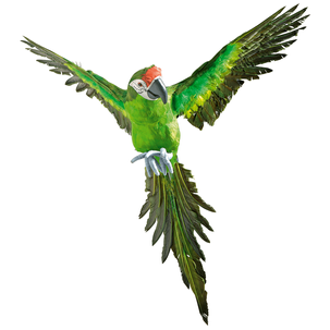 Papagayo decorativo verde longitud 77 cm