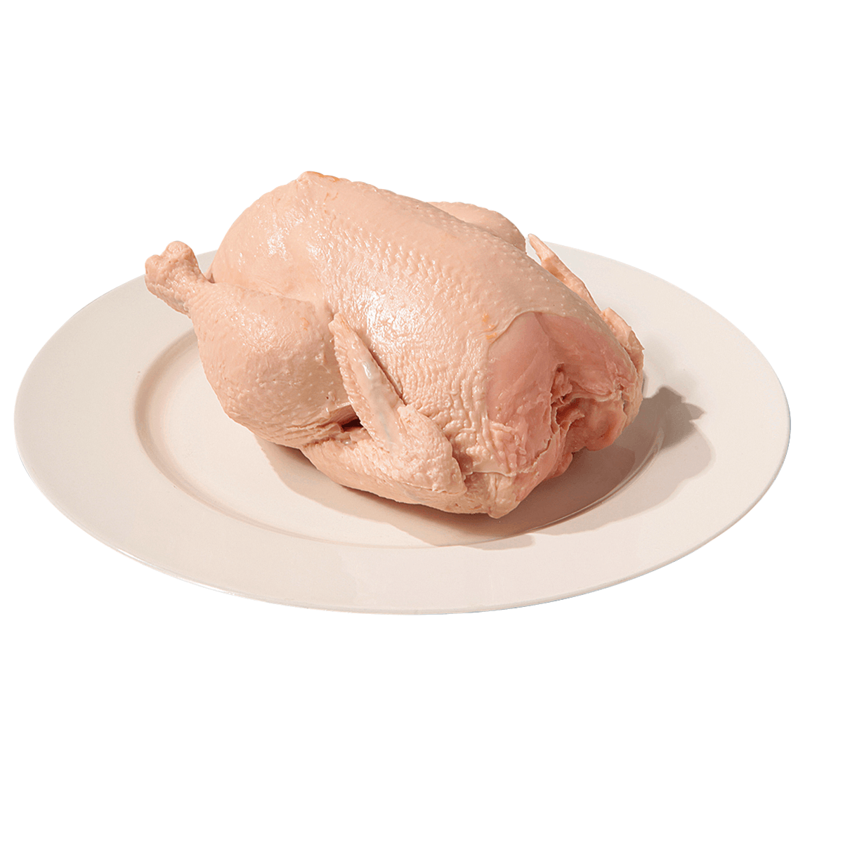 Chicken raw food dummy 23 cm - 1 Chicken raw food dummy 23 cm - 1