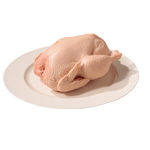 Chicken raw food dummy 23 cm - 2