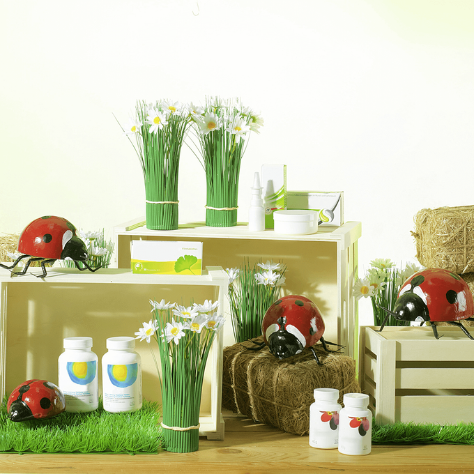 Lot De 100 Petites Coccinelles En Bois Autocollantes Pour