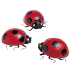 Coccinelle déco, long. 11 cm - 1