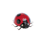 Decorative lady beetle, length 11 cm - 0