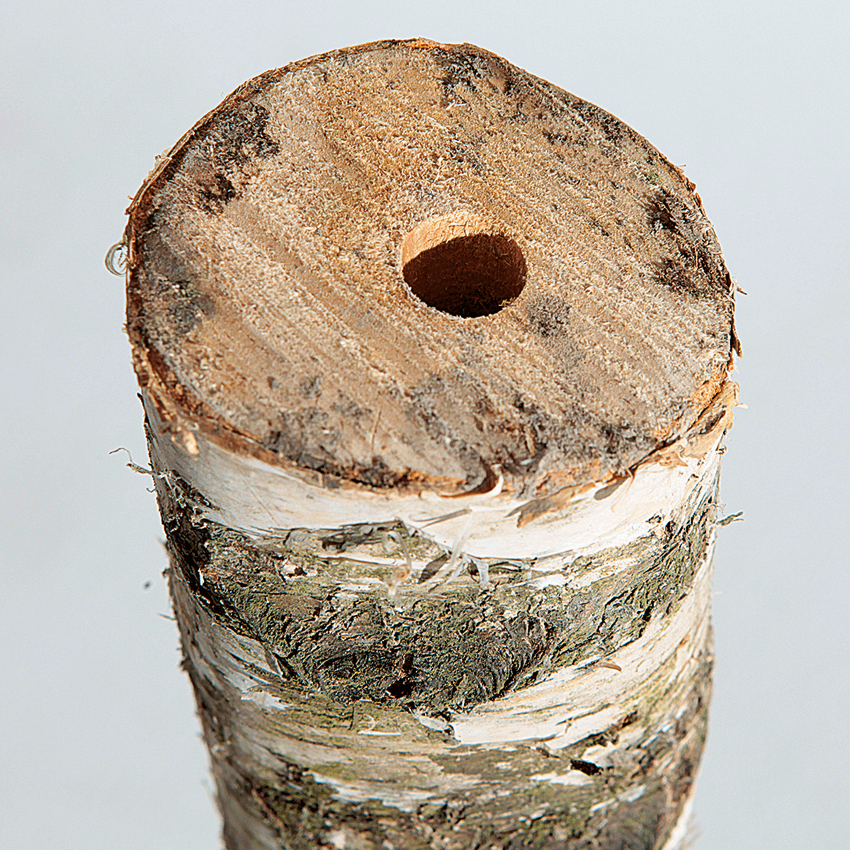 Birch trunk 100 cm approx. 6-10 cm Ø - 3 Birch trunk 100 cm approx. 6-10 cm Ø - 3