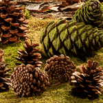 Scatter articles Pine cones, approx. 50 pieces - 1