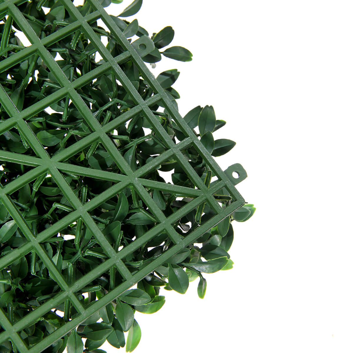 Künstliches Fittonia-Buchs-Paneel 25 x 25 cm - 5 Künstliches Fittonia-Buchs-Paneel 25 x 25 cm - 5