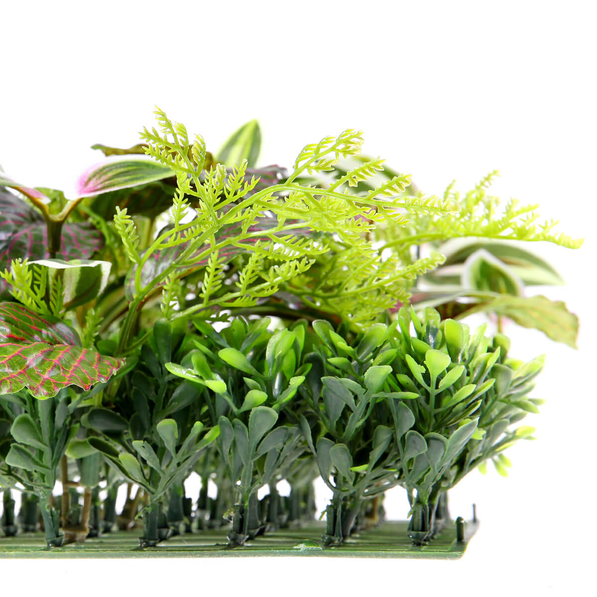 Künstliches Fittonia-Buchs-Paneel 25 x 25 cm - 6 Künstliches Fittonia-Buchs-Paneel 25 x 25 cm - 6