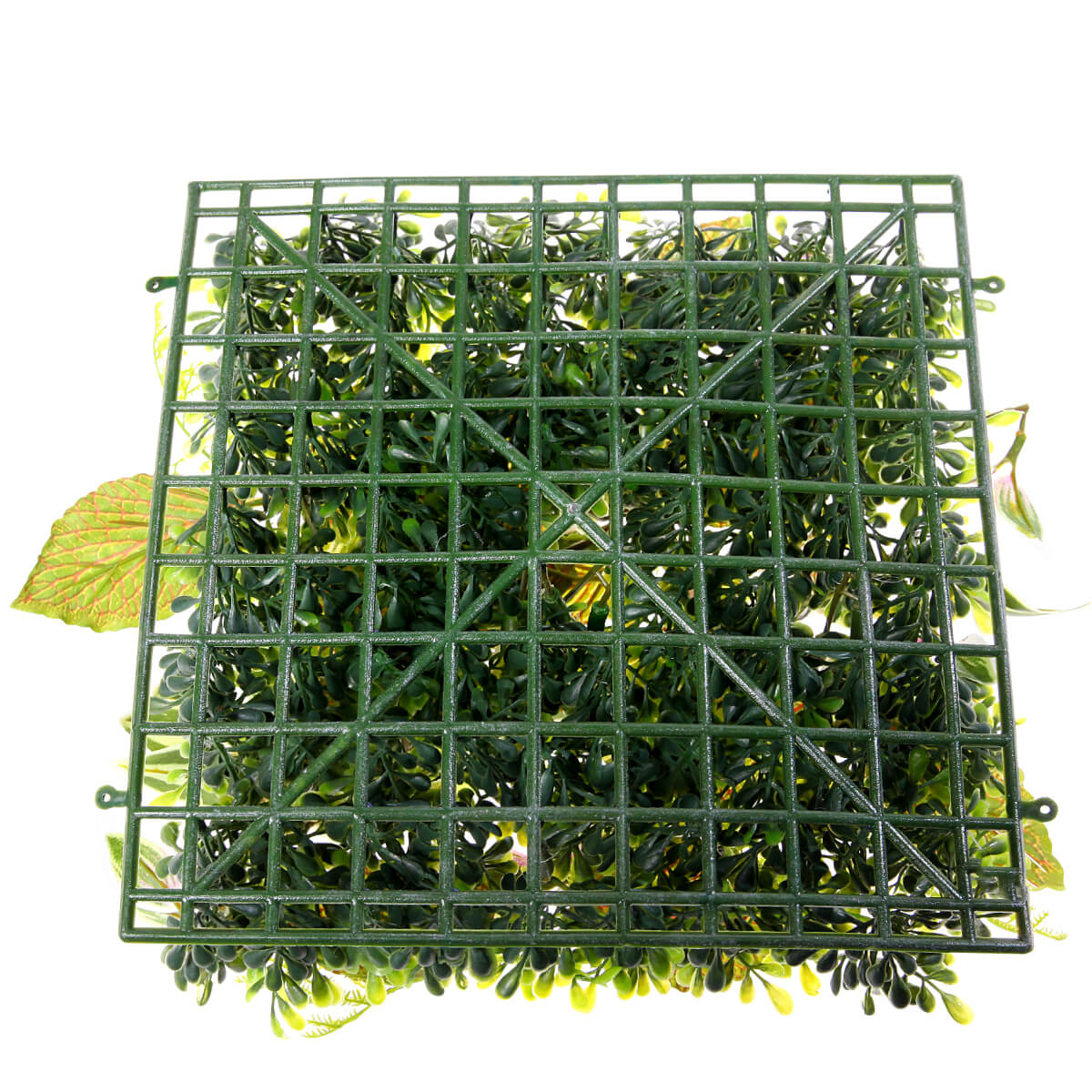 Künstliches Fittonia-Buchs-Paneel 25 x 25 cm - 7 Künstliches Fittonia-Buchs-Paneel 25 x 25 cm - 7