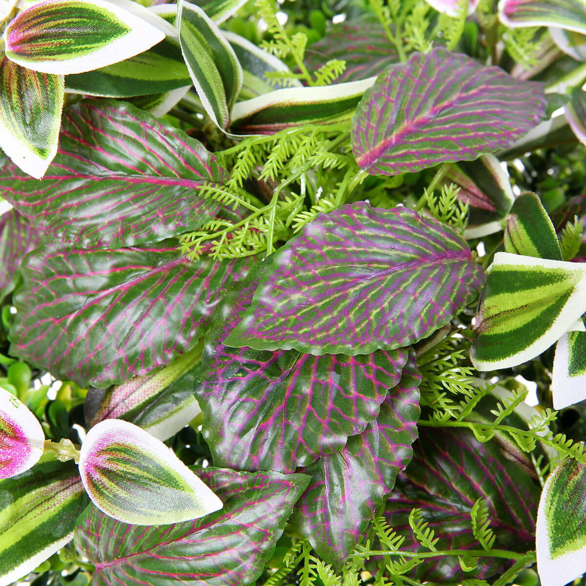 Künstliches Fittonia-Buchs-Paneel 25 x 25 cm - 2 Künstliches Fittonia-Buchs-Paneel 25 x 25 cm - 2
