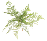 Artificial fern pick Ø 30 cm - 0