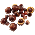 Decorative chestnuts, Ø 5 cm, 22 pcs - 1