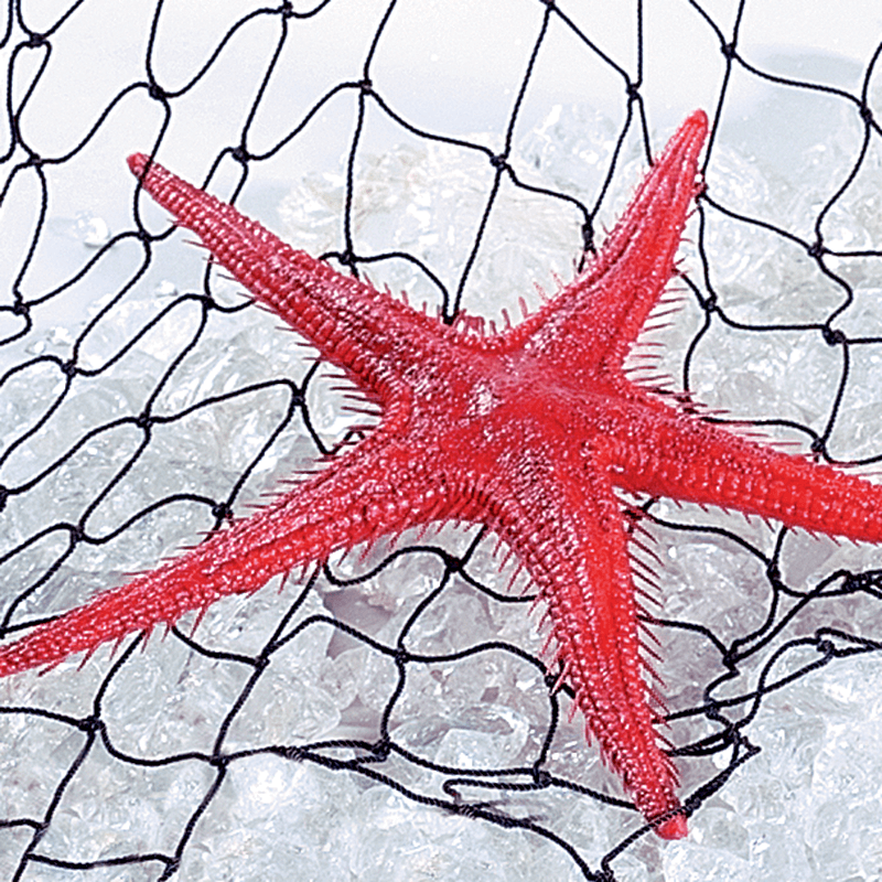 Starfish replica, 2 pcs - 2 Starfish replica, 2 pcs - 2