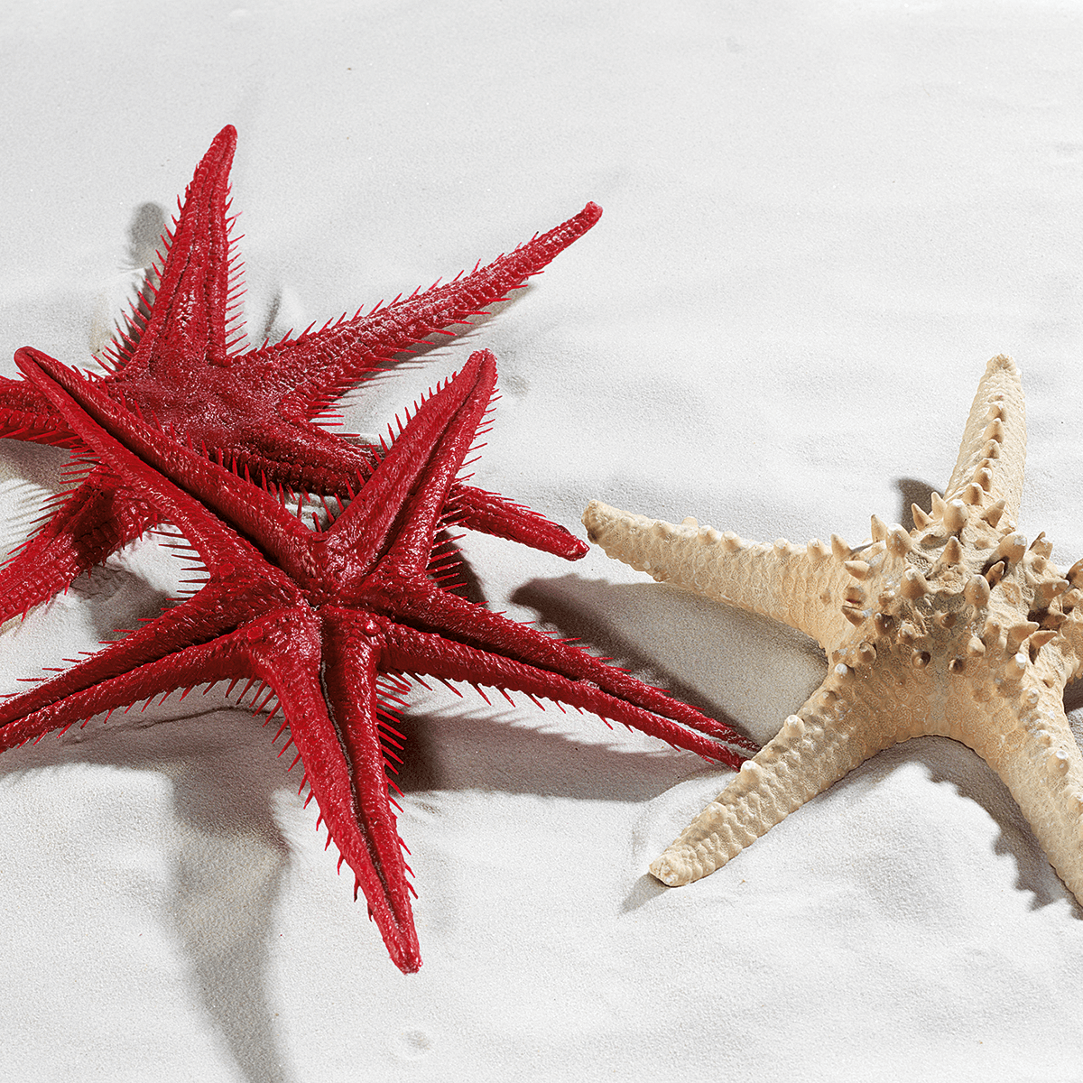 Starfish replica, 2 pcs - 4 Starfish replica, 2 pcs - 4
