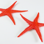 Starfish replica, 2 pcs - 3