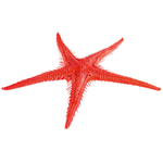 Starfish replica, 2 pcs - 1