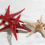 Starfish replica, 2 pcs - 4