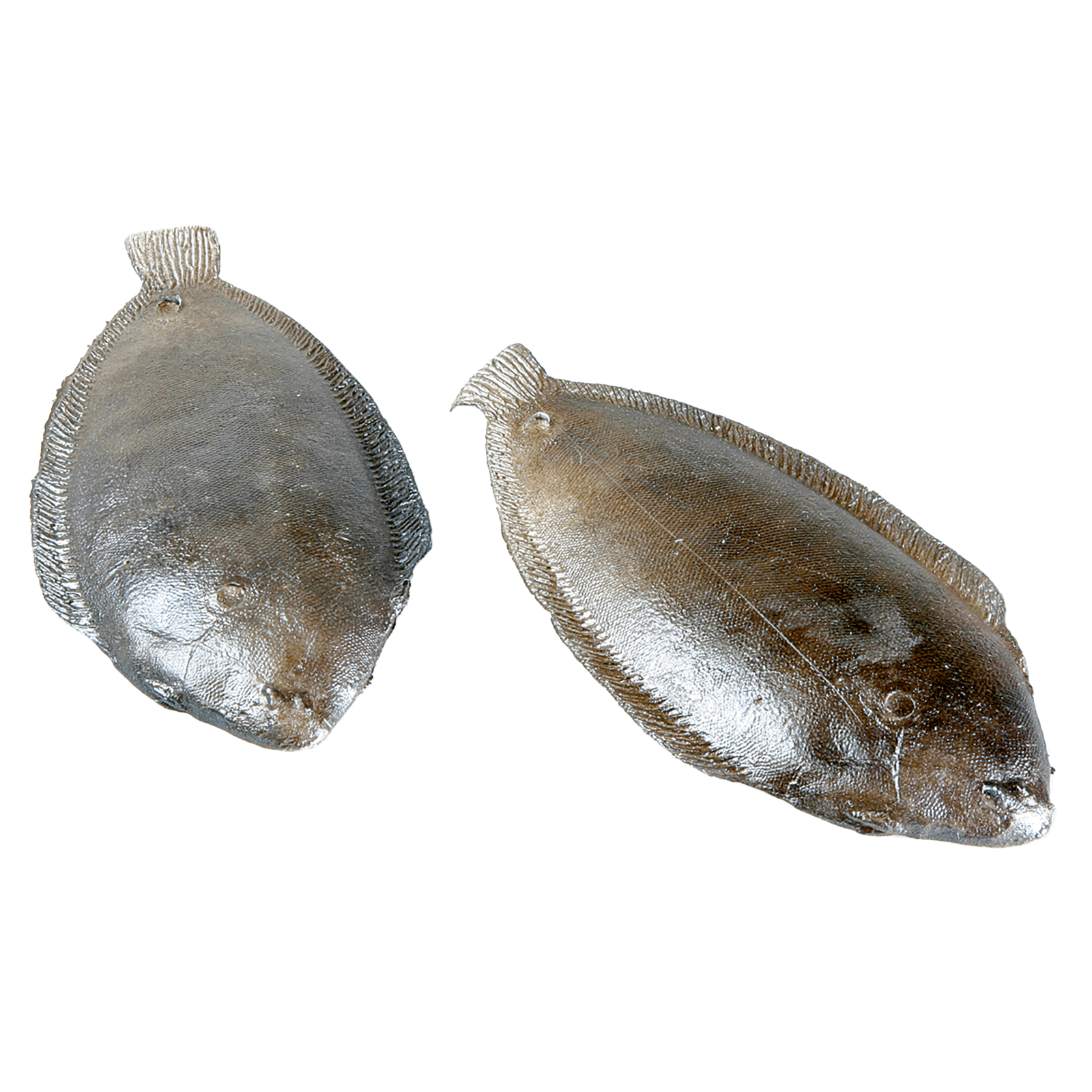 Plaice food replica, 27 cm, 2 pcs - 0 Plaice food replica, 27 cm, 2 pcs - 0