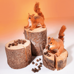 Decorative squirrel height 28 cm - 6