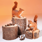 Decorative squirrel height 24 cm - 6