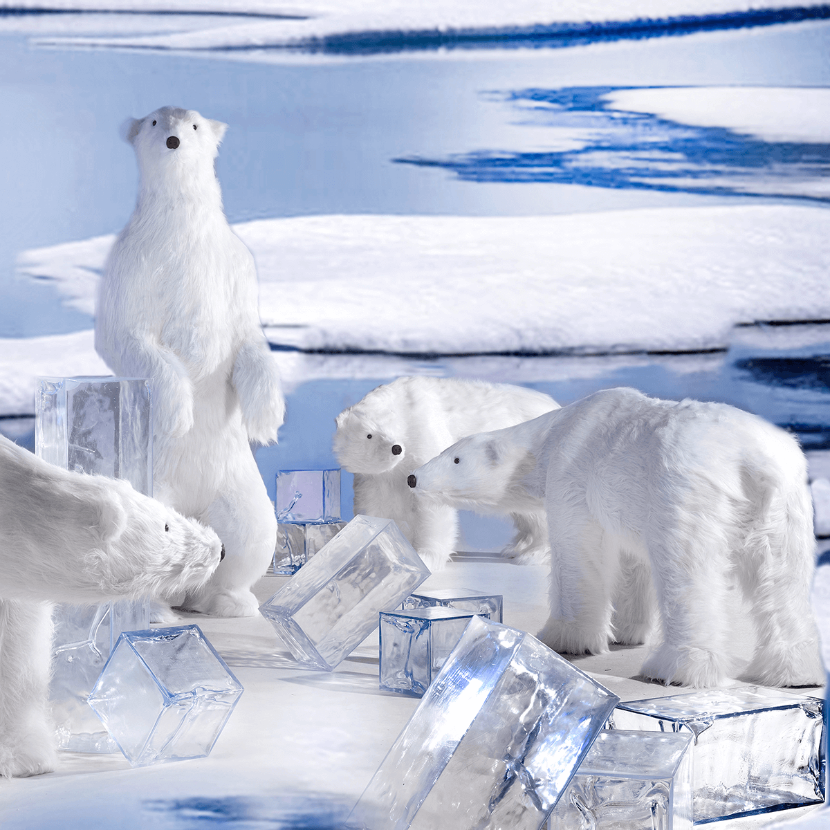 Riesengroßer Plüsch-Eisbär, 185 cm hoch - 12 Riesengroßer Plüsch-Eisbär, 185 cm hoch - 12