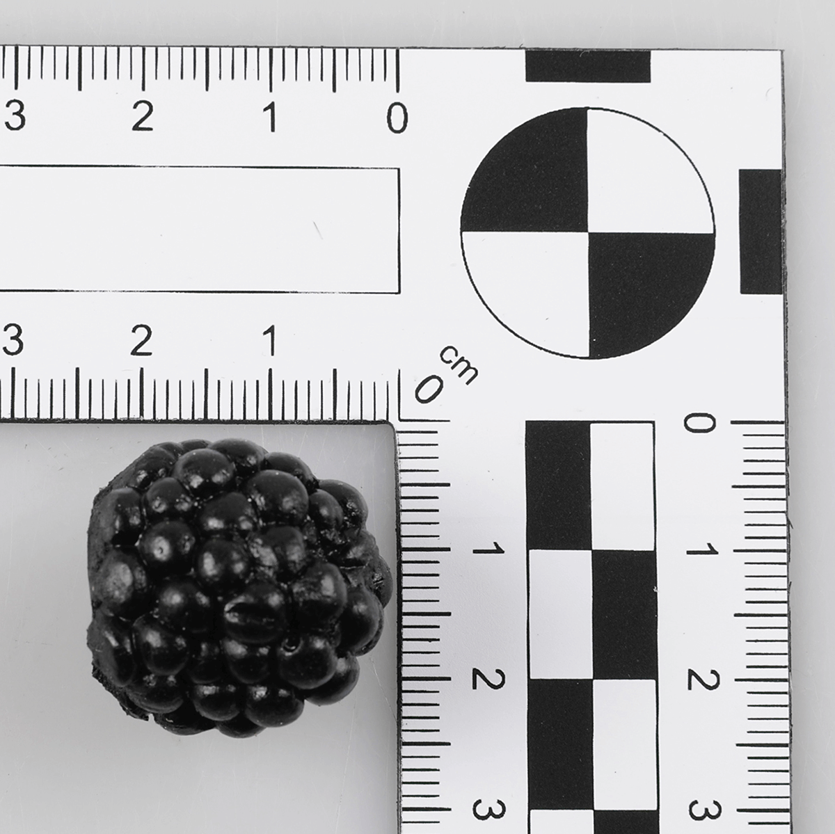 Blackberries food dumm, 24 pieces - 1 Blackberries food dumm, 24 pieces - 1