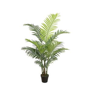 Palma Areca 110 cm