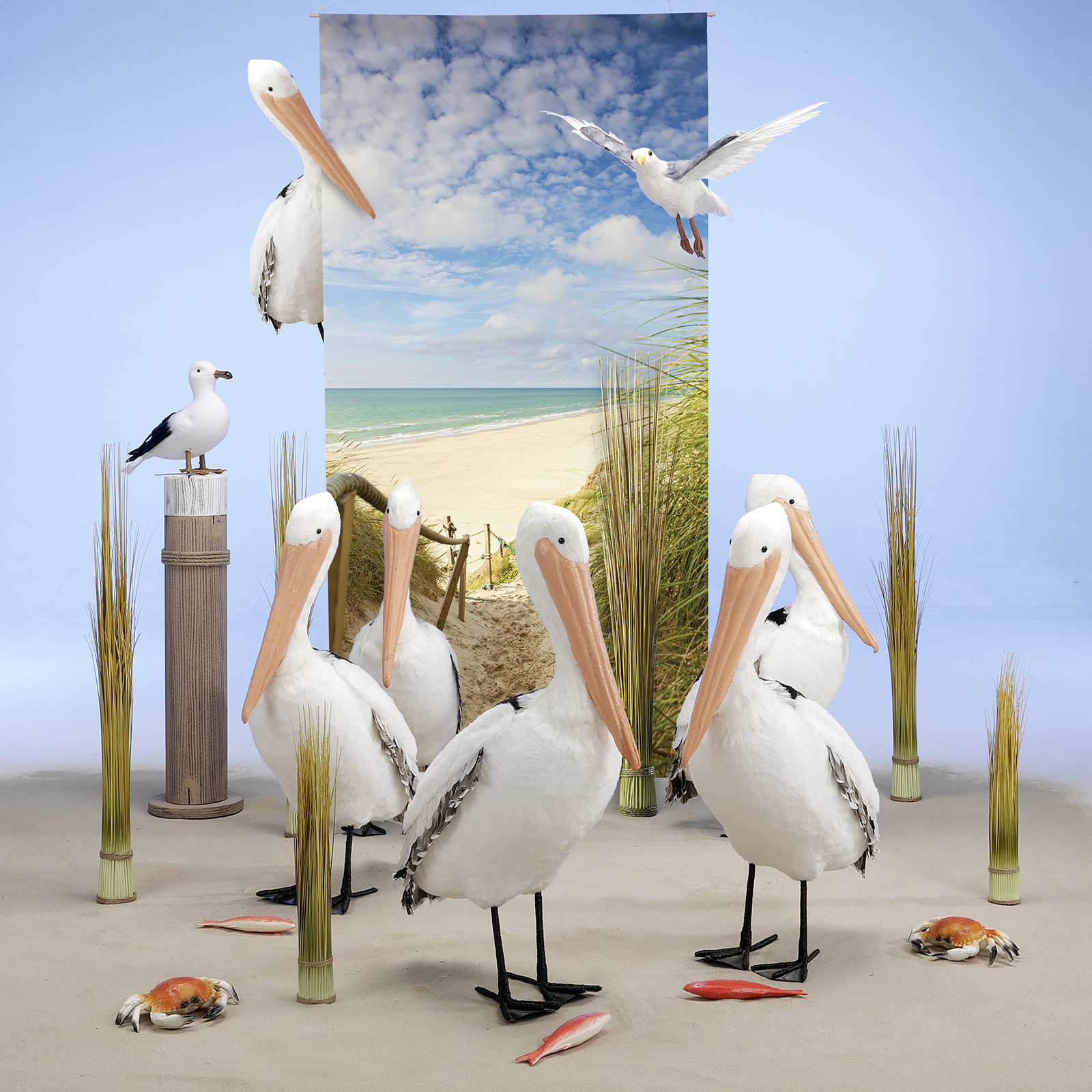 Gaviota decorativa de pie, altura: 28 cm - 2 Gaviota decorativa de pie, altura: 28 cm - 2