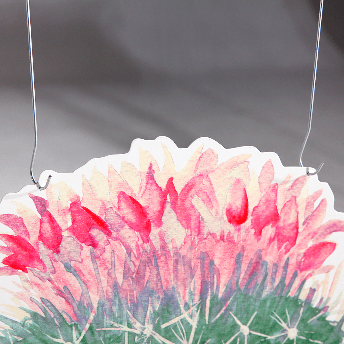 Expositor para colgar "Echinocactus" fucsia - 3 Expositor para colgar "Echinocactus" fucsia - 3