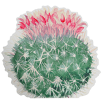 Expositor para colgar "Echinocactus" fucsia - 0