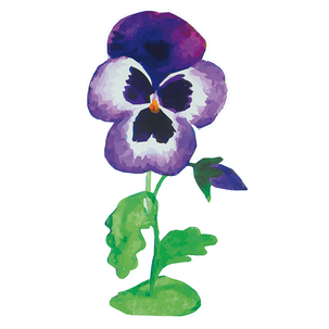 Display hanger "Pansy" height 75 cm