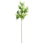 Branche d'eucalyptus artificielle long. 60 cm - 0