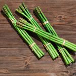 Green asparagus food replica, package with 4 pieces - 2